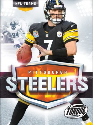 cover image of The Pittsburgh Steelers Story